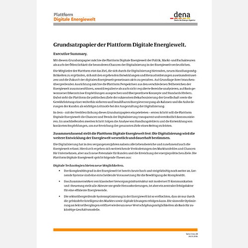 Grundsatzpapier der Plattform Digitale Energiewelt Grundsatzpapier der Plattform Digitale Energiewelt
