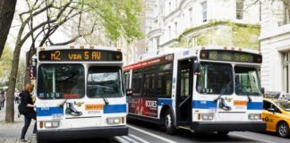 Study: Electric Buses Already Emit Less Carbon Than Diesel Buses, in Any State