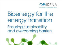 Bioenergy for the Transition: Ensuring Sustainability and Overcoming Barriers