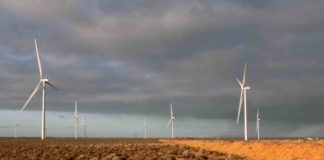 The radical plan to build world’s biggest green electrolyser and hydrogen power plant
